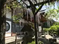 野坂寺(埼玉県)