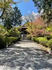 園城寺（三井寺）の建物その他