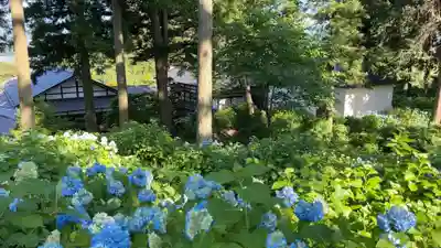 深妙寺(長野県)