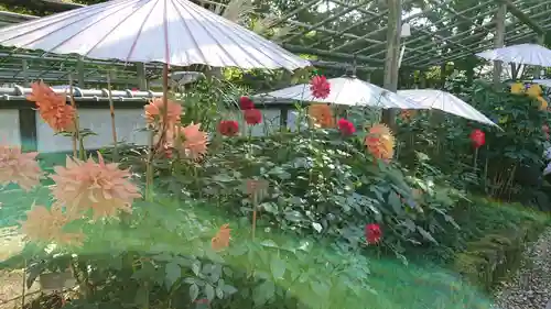 上野東照宮の自然