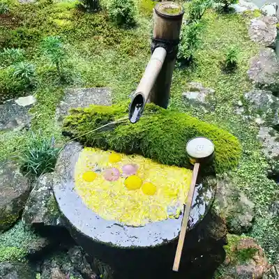 柳谷観音　楊谷寺(京都府)