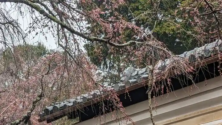 十輪寺(京都府)
