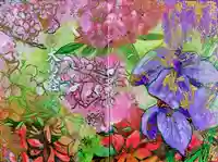 和泉國一之宮 大鳥大社(大阪府)