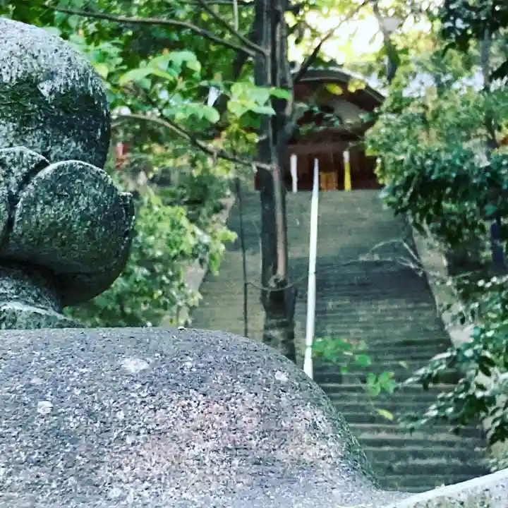 美具久留御魂神社(大阪府)