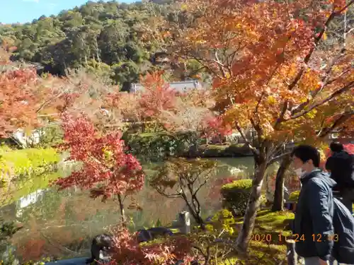 禅林寺（永観堂）の庭園