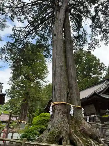 北口本宮冨士浅間神社(山梨県)