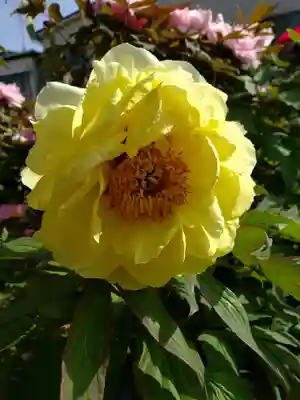 禅定院(東京都)