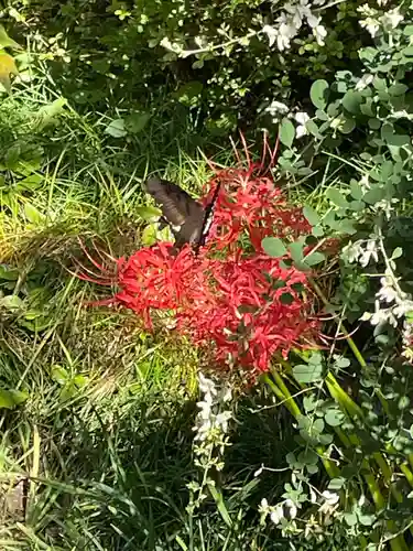 国上寺(新潟県)