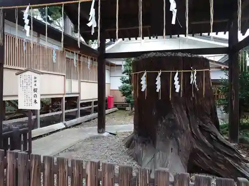 須賀神社の自然