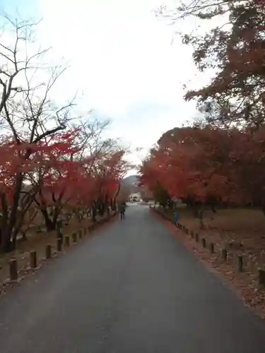 坂本八幡宮の建物その他