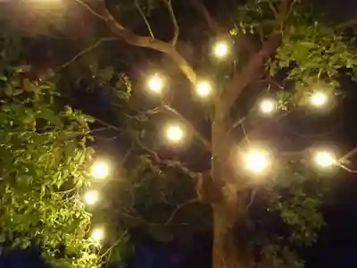 星川杉山神社のその他建物