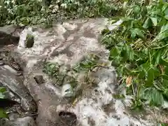 山家神社奥宮の自然