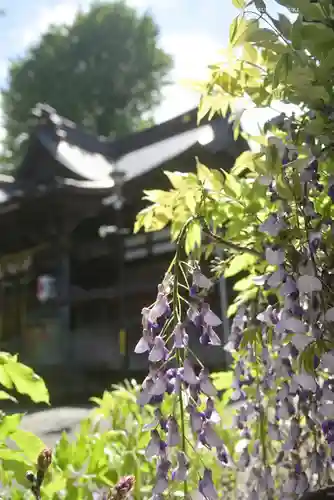 滝野川八幡神社(東京都)