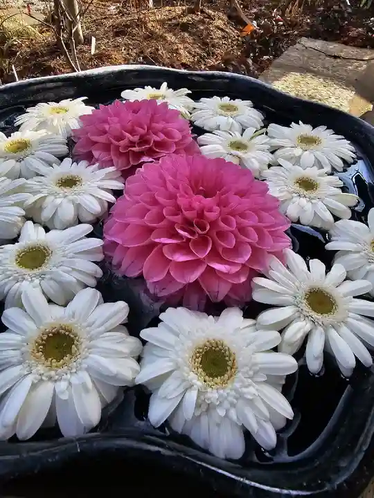 法輪寺の手水舎