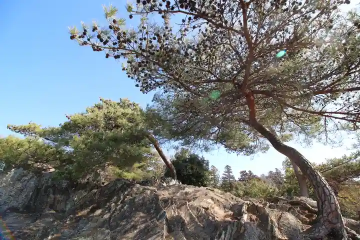 唐澤山神社(栃木県)