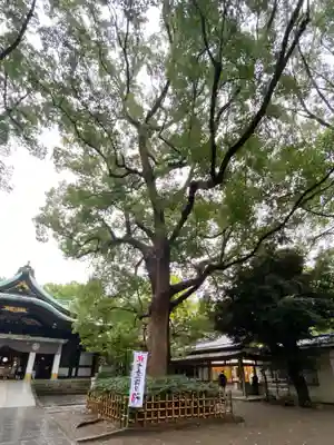 王子神社(東京都)