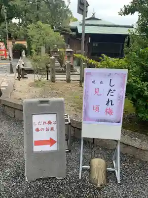 城南宮(京都府)