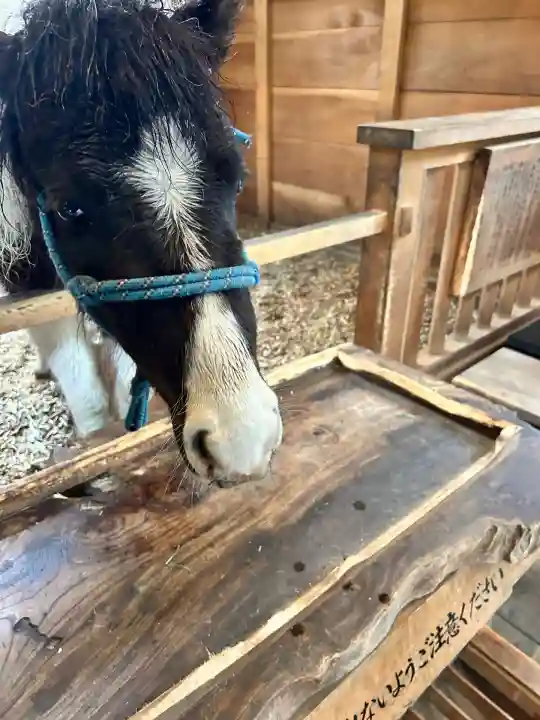 平塚八幡宮(神奈川県)