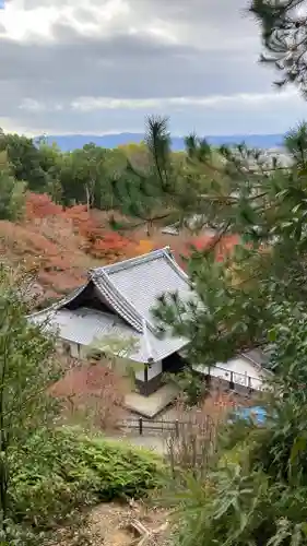 圓光寺(京都府)
