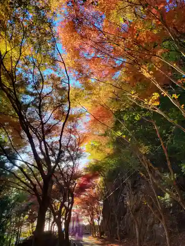 鳳来寺(愛知県)
