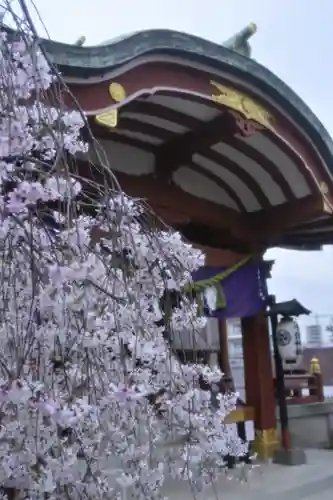 千住神社(東京都)