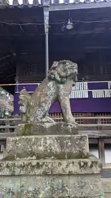 向日神社(京都府)
