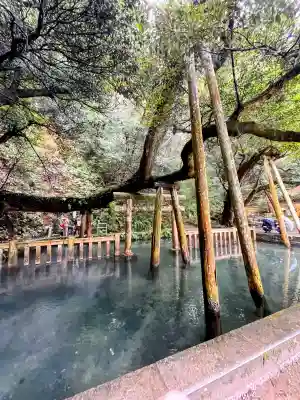 鹿島神宮(茨城県)