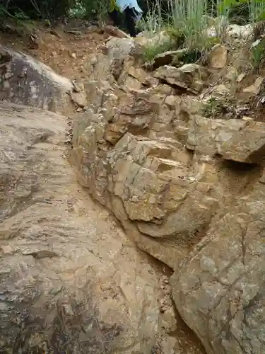 金刀比羅神社の自然