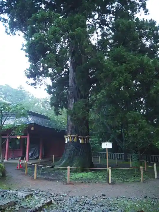 志波彦神社・鹽竈神社のその他建物