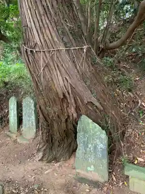 星勝神社(千葉県)