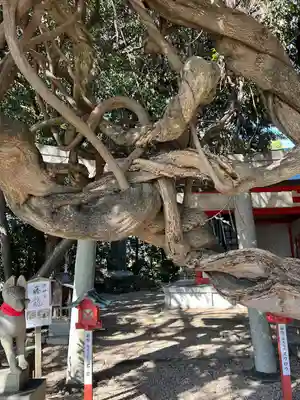 豊藤稲荷神社の自然