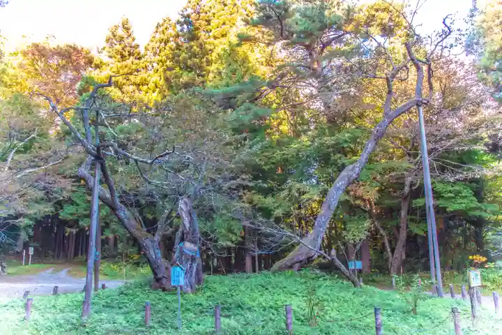 磐椅神社(福島県)