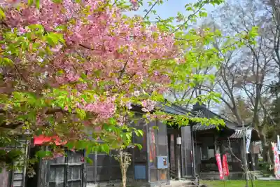 安禅寺(新潟県)
