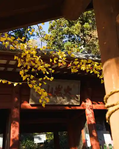  大岩山 最勝寺(栃木県)