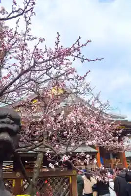 湯島天満宮(東京都)