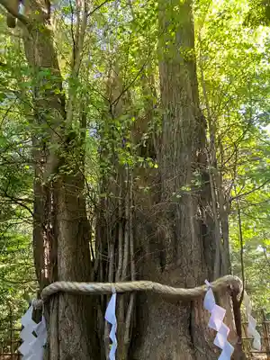 大國魂神社(東京都)