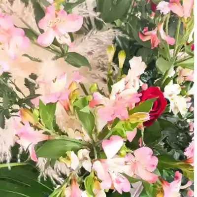 彌彦神社　(伊夜日子神社)の手水舎