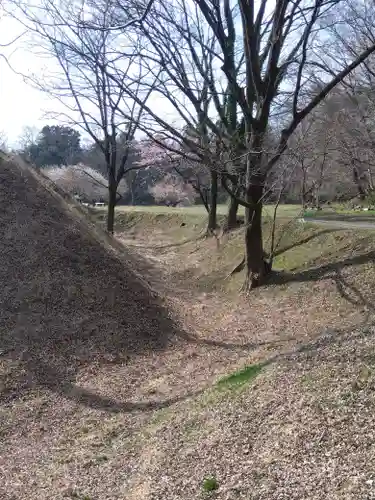菅谷神社(埼玉県)