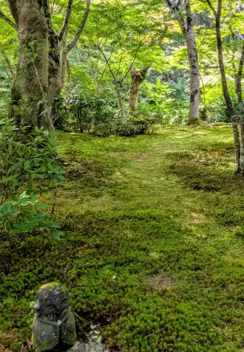 圓光寺(京都府)