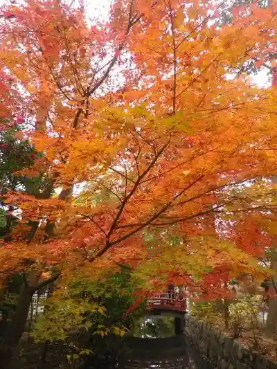 鶴岡八幡宮の自然