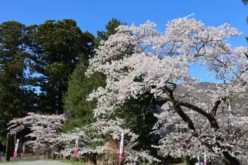 高司神社〜むすびの神の鎮まる社〜の景色