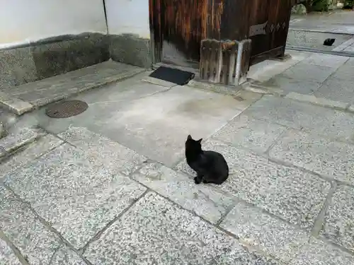 養源院(京都府)