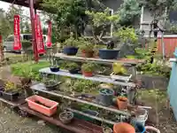 不動大社(新潟県)