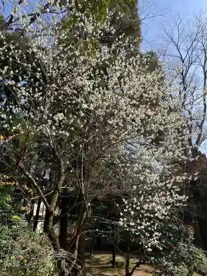 廣隆寺(京都府)