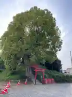 富岡大明神(京都府)