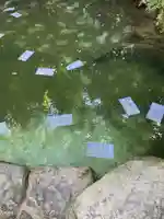 八重垣神社(島根県)