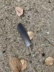 松原八幡神社の自然