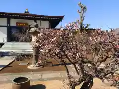 天暁山　一行院(東京都)