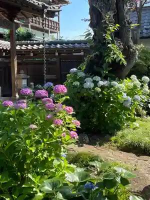 妙楽寺(神奈川県)