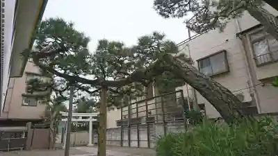 稲荷神社・大鷲神社の自然
